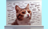 Cat Meme Secrets for Gaining Feline Internet Fame