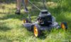 Grass Cutting Services in Montacute: Tips and Options