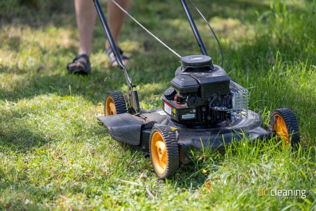 Grass Cutting Services in Montacute: Tips and Options
