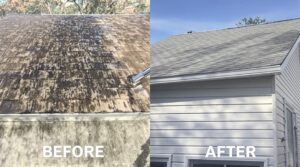Unveil the Essential Benefits of Soft Washing for Your Home's Comprehensive Maintenance