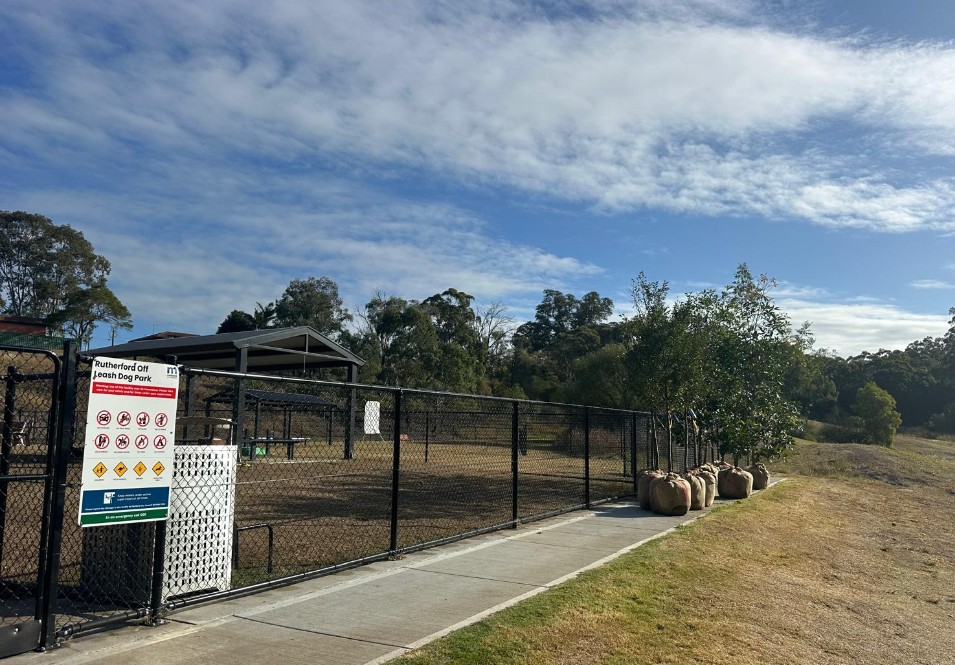 Tree Planting Event at Rutherford Dog Park in Maitland