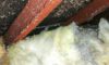 Asbestos Concerns: Key Tips for Choosing a Skip Hire Service