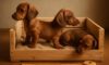 Puppy Comfort Tips for Creating a Snug Crate Environment