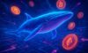 Whale Wallet Monitoring: Effective Tracking Techniques