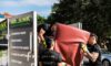 Council Hard Waste and Private Junk Removal Choices Uncovered