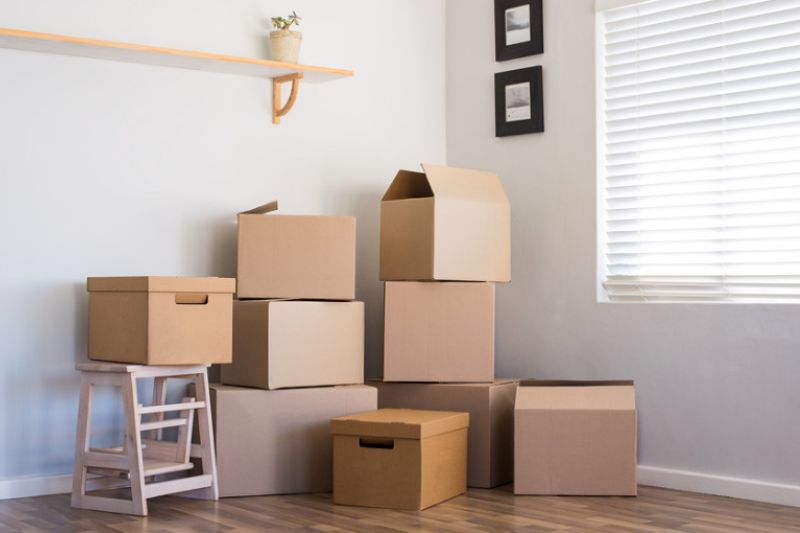 Rubbish Removal in Hastings: Professional Tips and Assistance